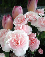 フラワーアレンジメント